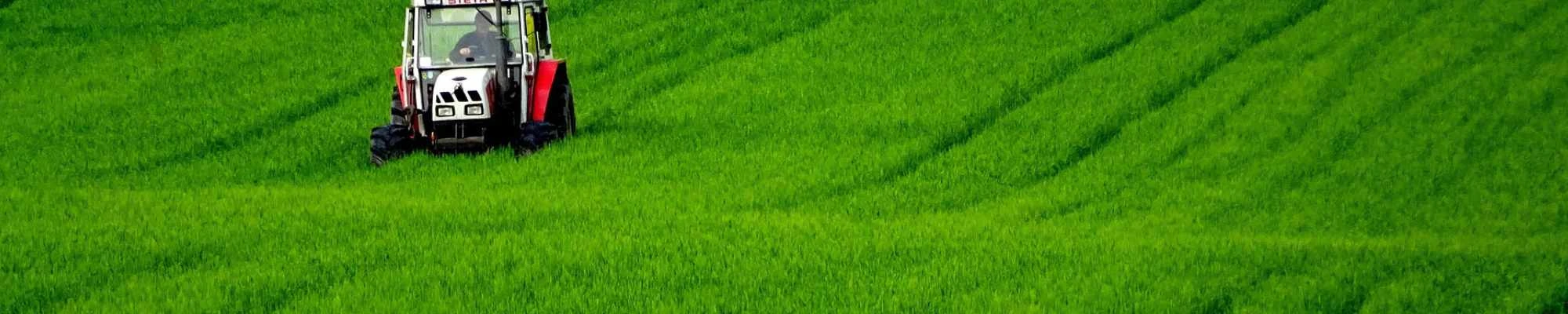 Nationale gesetzliche Regelungen